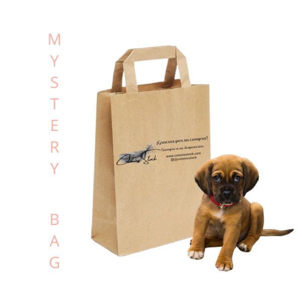 Coloniastock Bolsa Misteriosa para tu mascota, 2 unidades en su interior, 1 bolsa