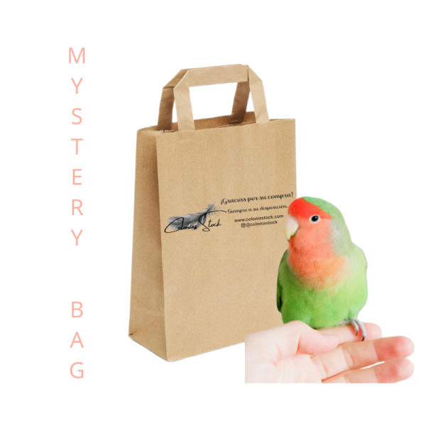 Coloniastock Bolsa Misteriosa para tu mascota, 3 unidades en su interior, 1 bolsa