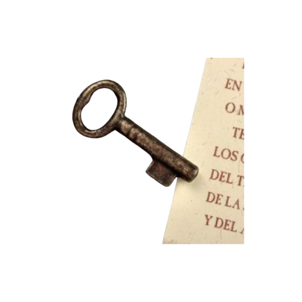 Coloniastock Amuleto llave de la suerte mini 20 mm de largo, para llevar en el monedero, amuleto